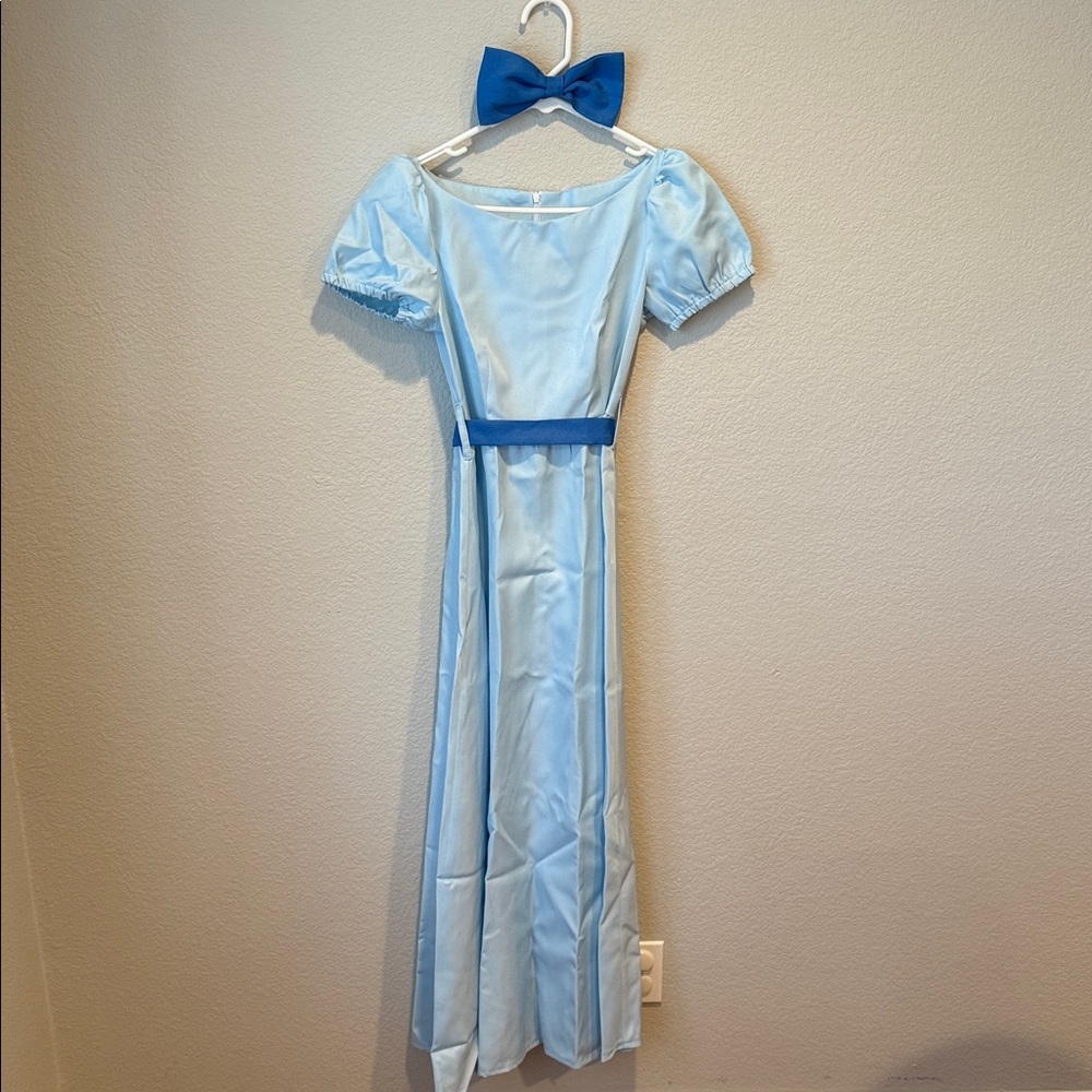 Adult Wendy costume
